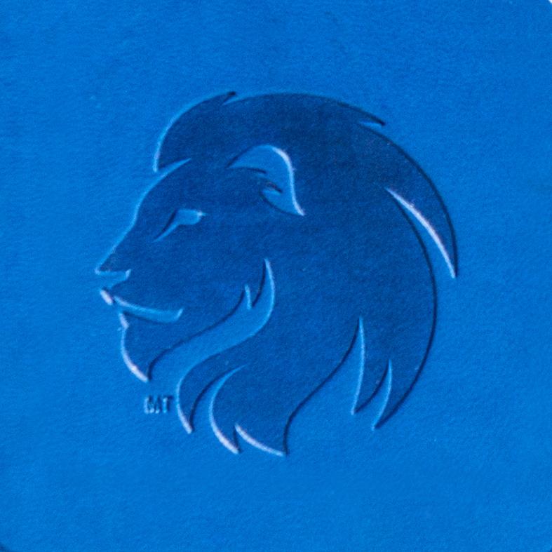 狮子头标志的虚拟去凸技术实例.